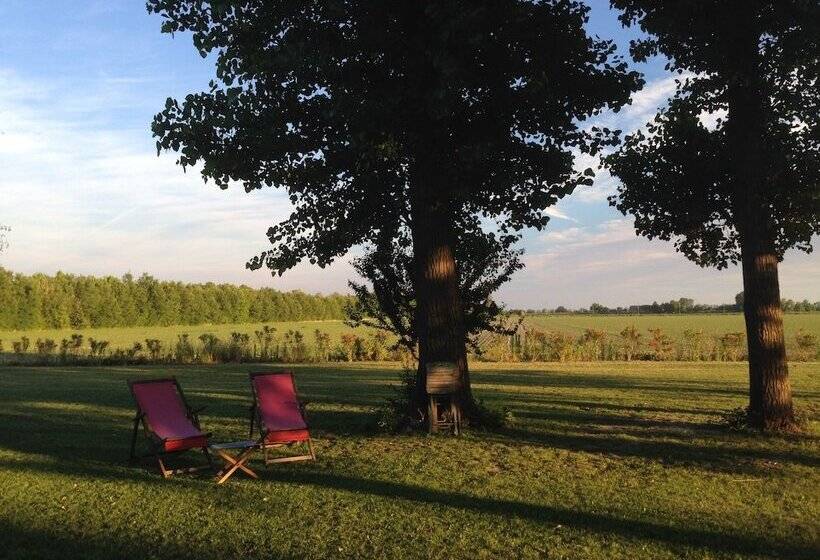 پانسیون Ca  Adami