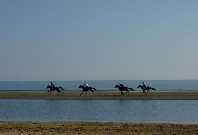 پانسیون Ca  Adami