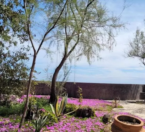 Aamiaismajoitus (B&B) Aci Brezza Di Mare