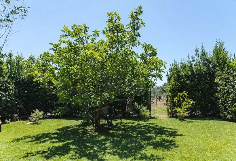 Aamiaismajoitus (B&B) Casa Di Marco