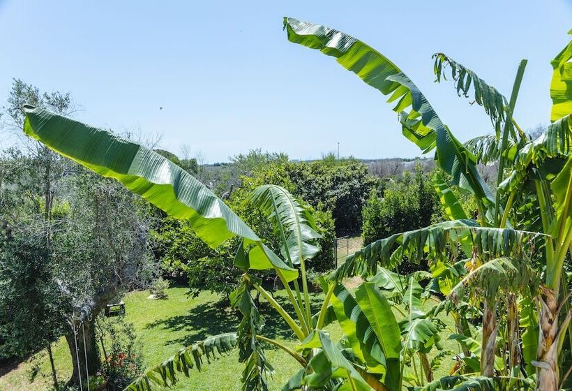 צימר Casa Di Marco