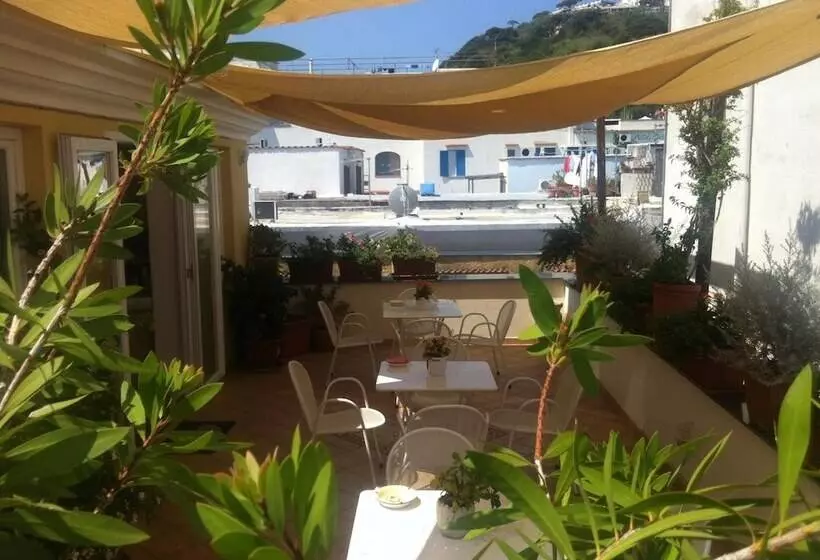 B&b Celestina Ischia
