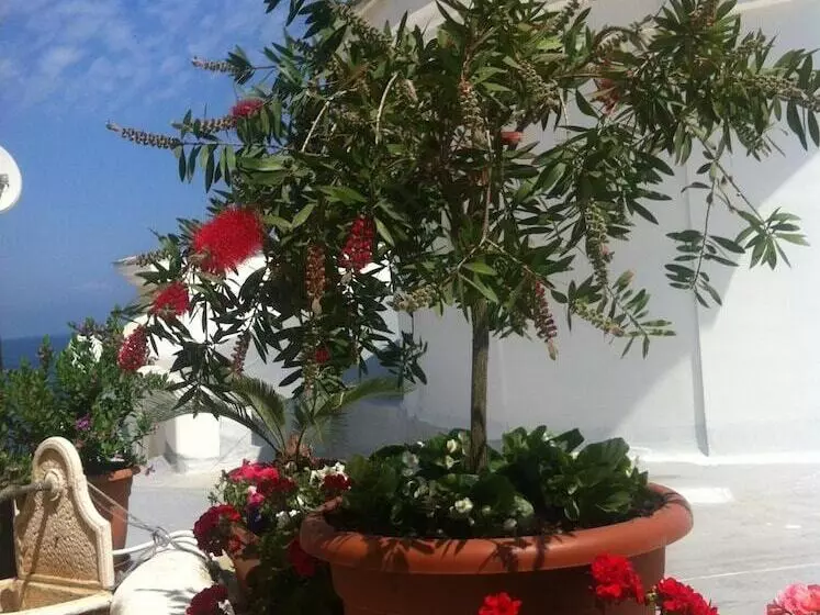 B&b Celestina Ischia