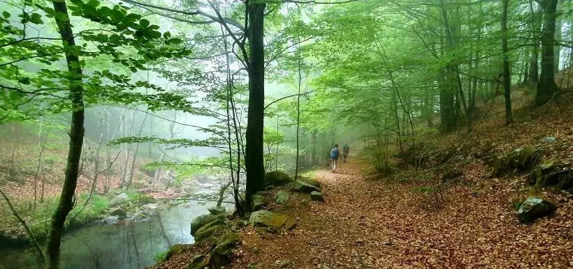 Aamiaismajoitus (B&B) L Americano Luxury Rooms