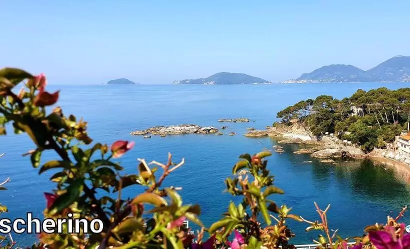 Aamiaismajoitus (B&B) L Americano Luxury Rooms