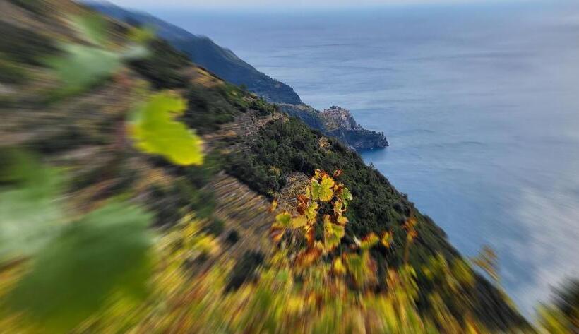 צימר L Americano Luxury Rooms