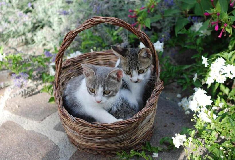 فندق ريفى Agriturismo Fattoria Walden