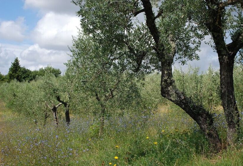 فندق ريفى Agriturismo Fattoria Walden