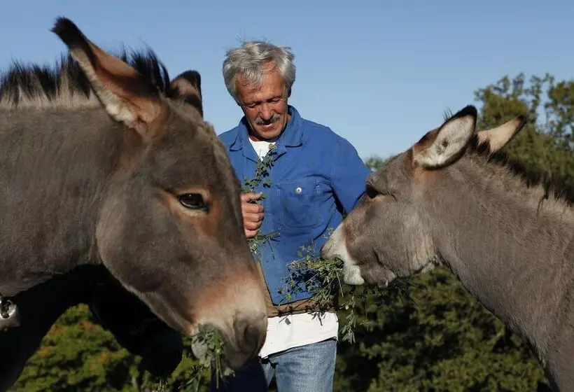 Maaseutuhotelli Agriturismo Fattoria Walden