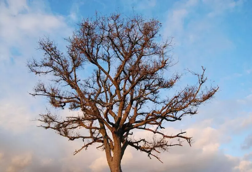 Maaseutuhotelli Agriturismo Fattoria Walden