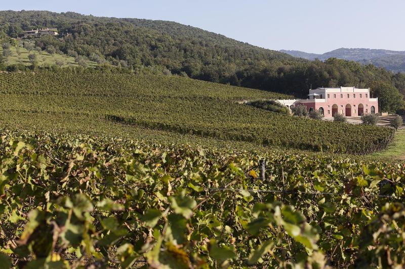 田舎風ホテル Tenuta Il Sassone   Wine & Food