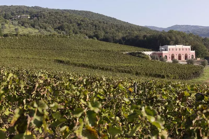 Maaseutuhotelli Tenuta Il Sassone Wine & Food