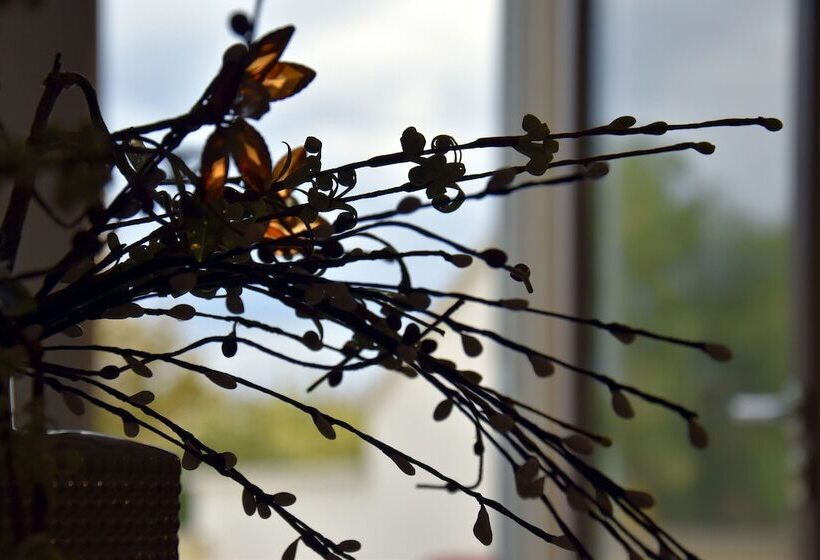 פנסיון A Casa Di Anna Locazione Turistica