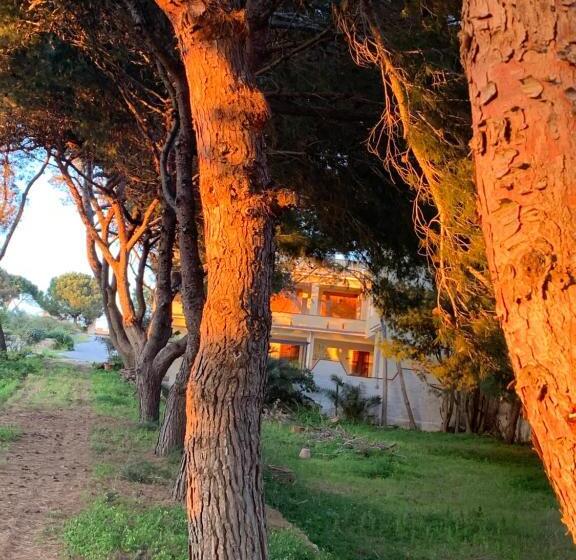 פנסיון Mediterraneo