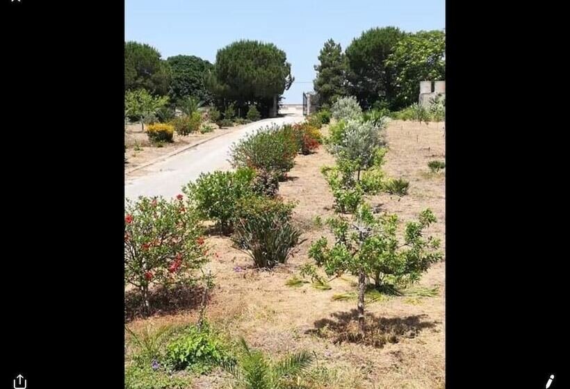 פנסיון Mediterraneo