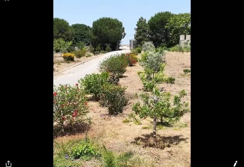 ペンション Mediterraneo