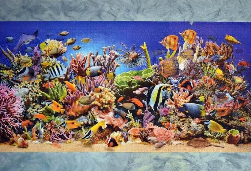 Bed and Breakfast Il Pezzo Mancante