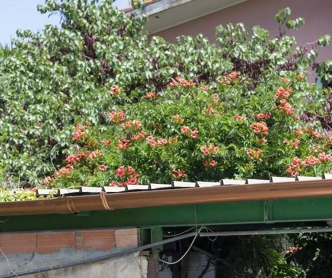 Aamiaismajoitus (B&B) Le Calle