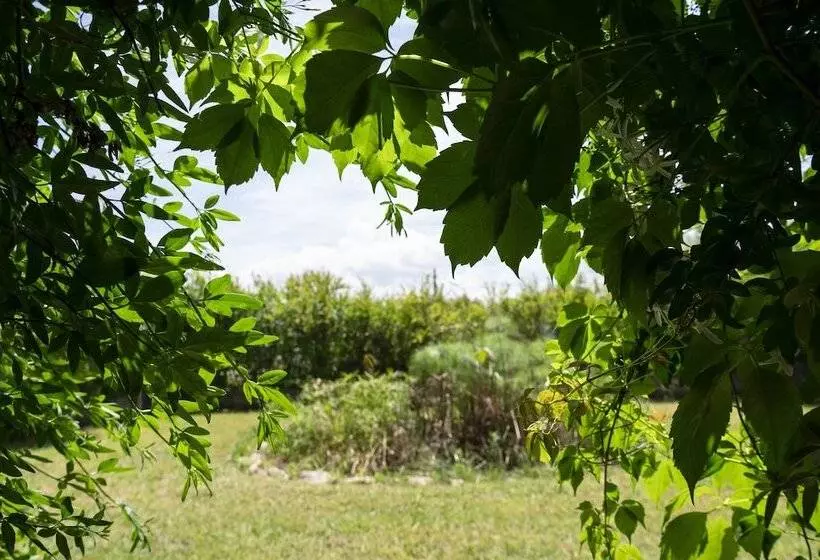 Aamiaismajoitus (B&B) Le Calle