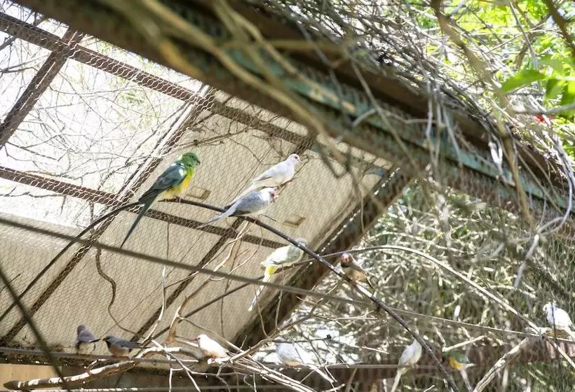 Aamiaismajoitus (B&B) Le Calle