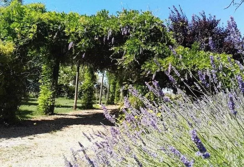 Aamiaismajoitus (B&B) Tenuta Le Pantanelle