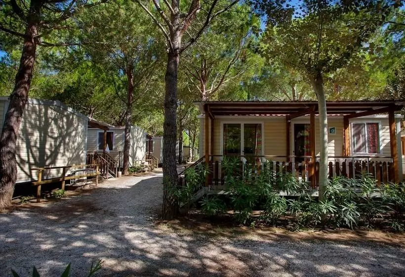 Hotelli Camping Village Mareblu
