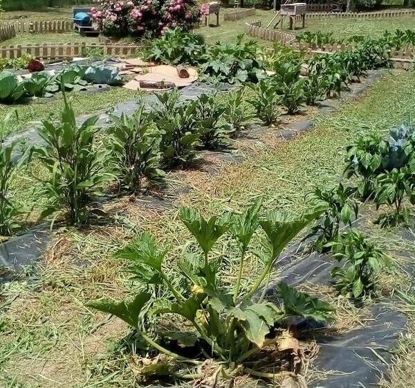 هتل روستایی Azienda Agricola Biologica Petrignanum