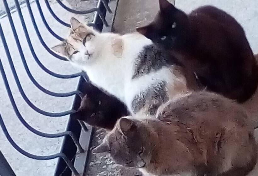 هتل روستایی Azienda Agricola Biologica Petrignanum