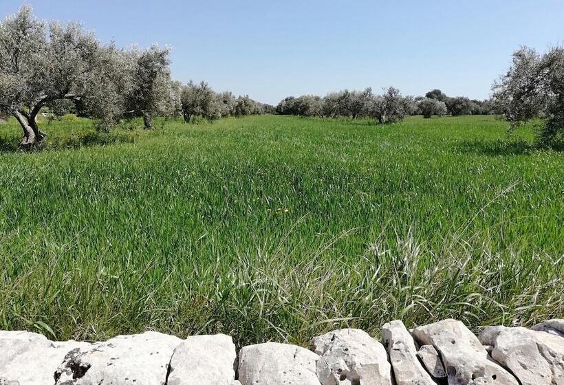 فندق ريفى La Dimora Del Decano