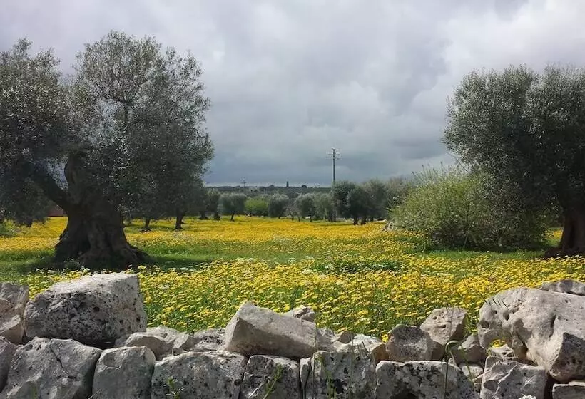 پانسیون Masseria Dell 800