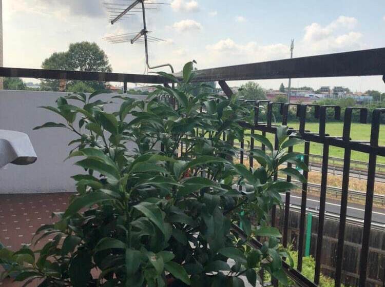 Pension Venice H.s.garden Home