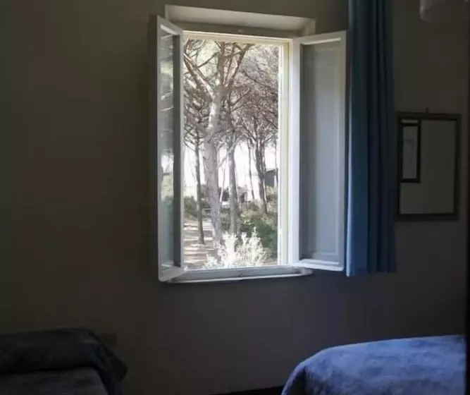 レジデンス Il Giaguaro