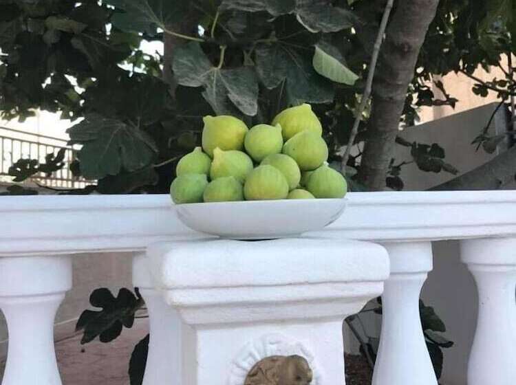 Villa Cristina B&b Alezio