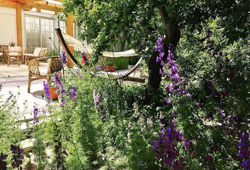 B&b Irenemarchese Gluten Free