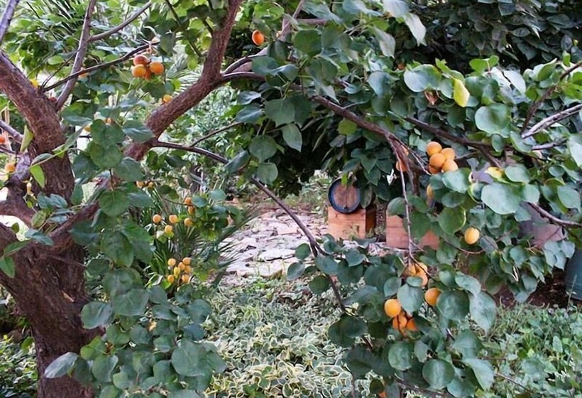 B&b Irenemarchese Gluten Free