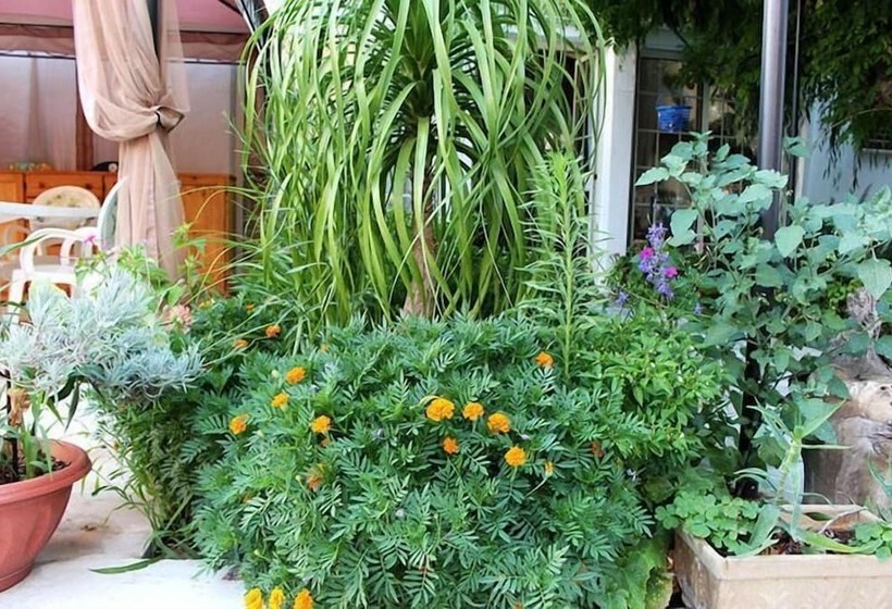 B&b Irenemarchese Gluten Free