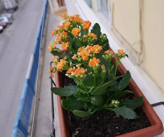 B&b Nodo Francescano