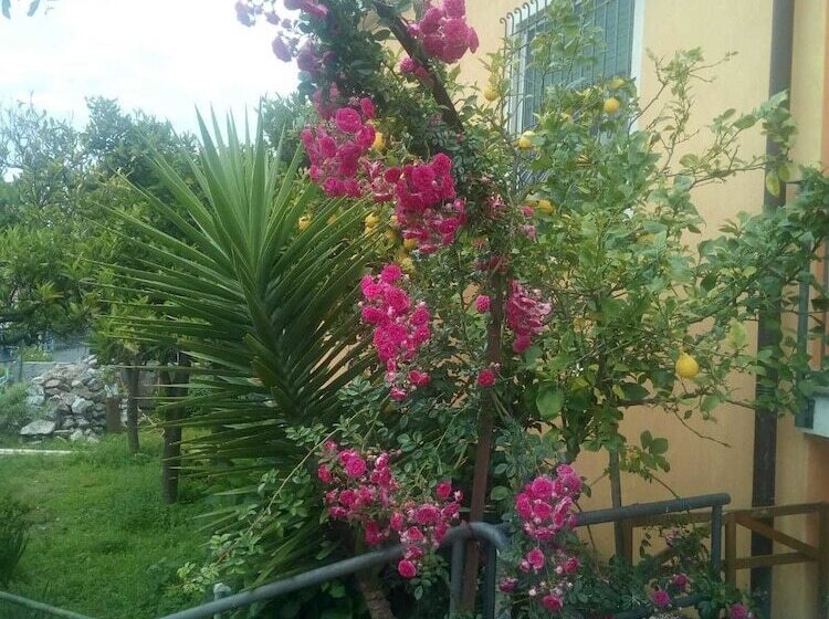 تختخواب و صبحانه Bellavista