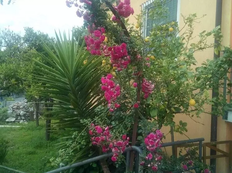 تختخواب و صبحانه Bellavista