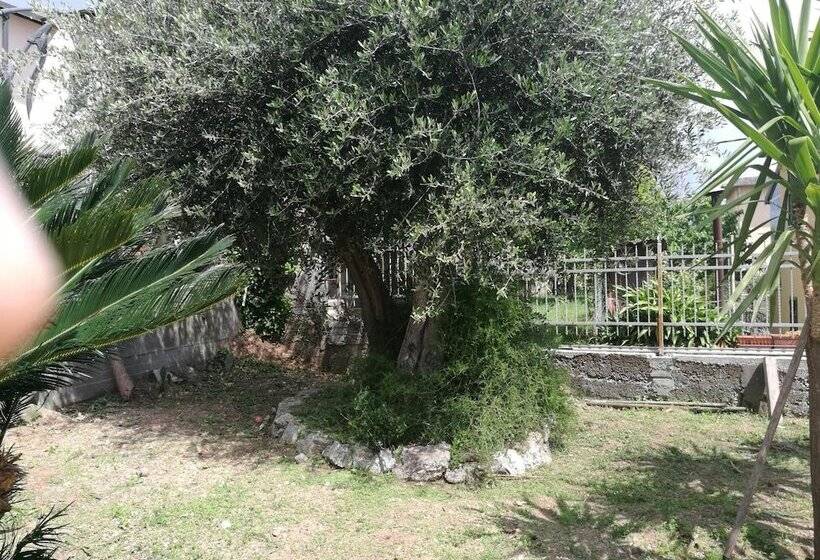 تختخواب و صبحانه Bellavista