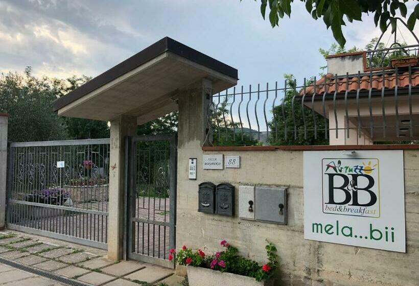 ベッドアンドブレックファースト Mela__bii