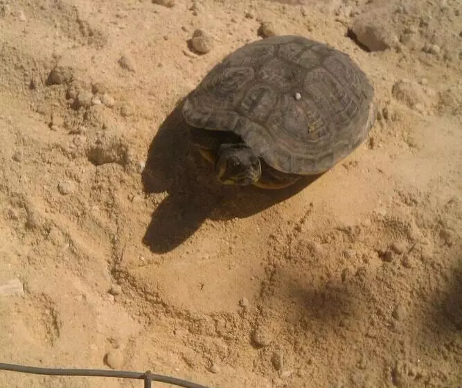 تختخواب و صبحانه Vento Del Sud