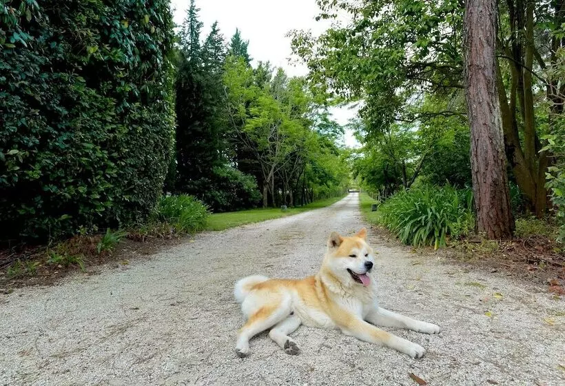 Aamiaismajoitus (B&B) Villa Lupo