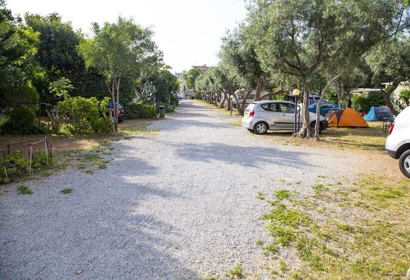 酒店 Camping Degli Ulivi
