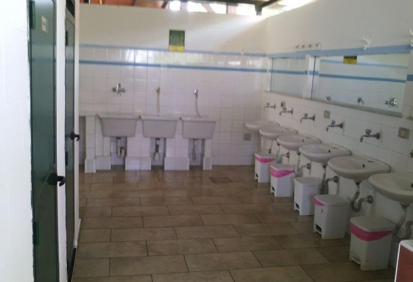 酒店 Camping Degli Ulivi