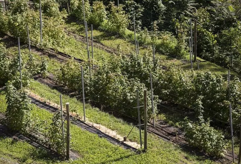 田舎風ホテル Agriturismo Rossolampone