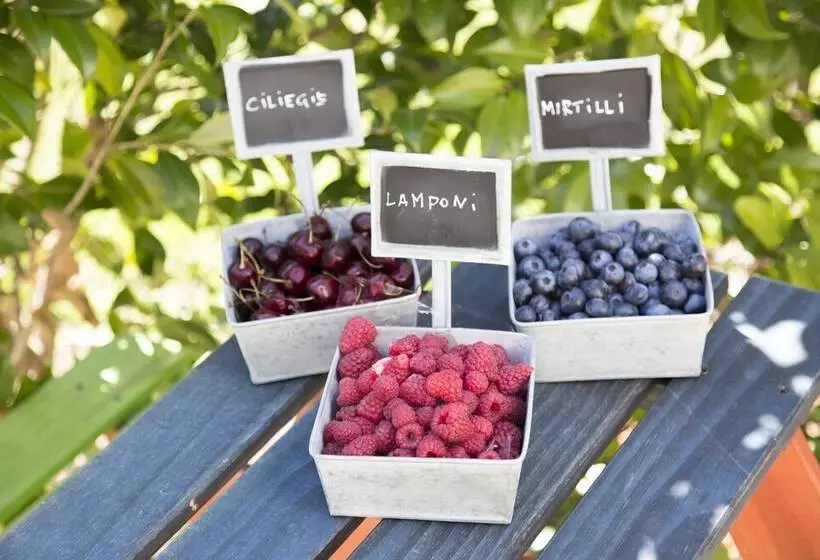 田舎風ホテル Agriturismo Rossolampone