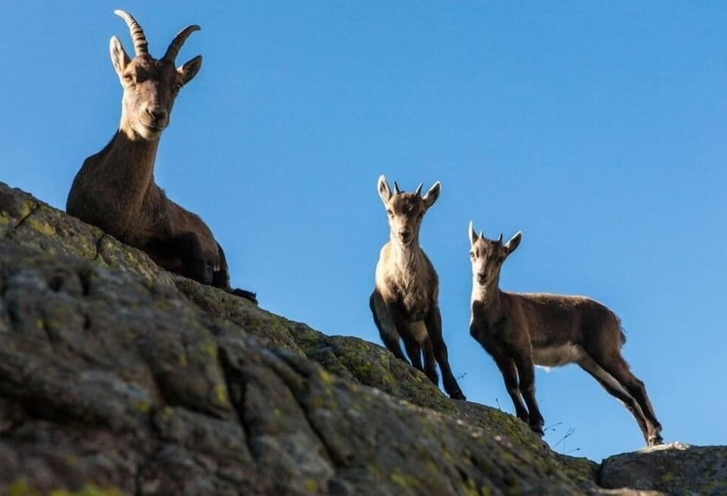 ペンション Casa Bavo