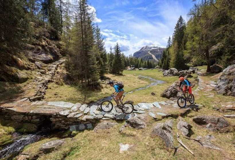 ペンション Casa Bavo