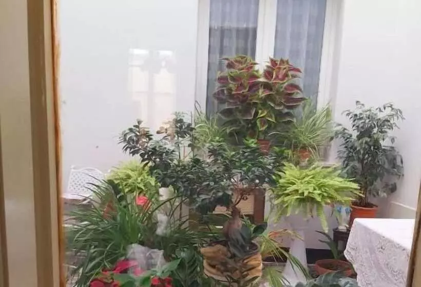 ペンション Palazzo Al Carmine Dimora Storica